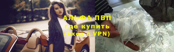сатива Аркадак