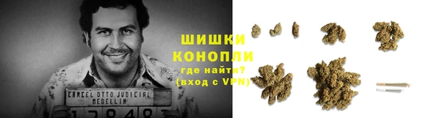 сатива Аркадак