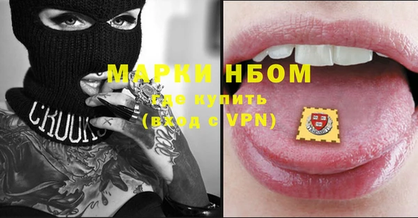 сатива Аркадак